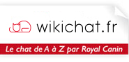 wikichat-logo